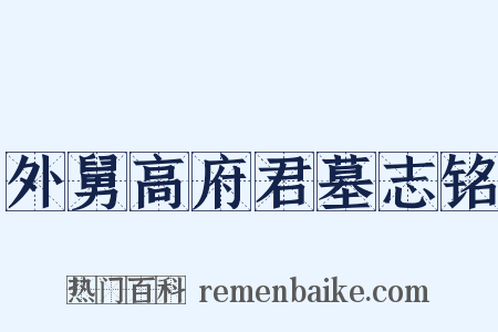 外舅高府君墓志铭是什么意思的图片